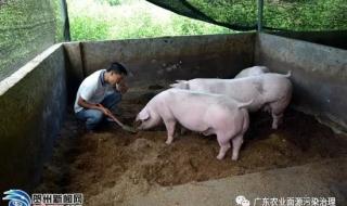 一吨猪饲料成本